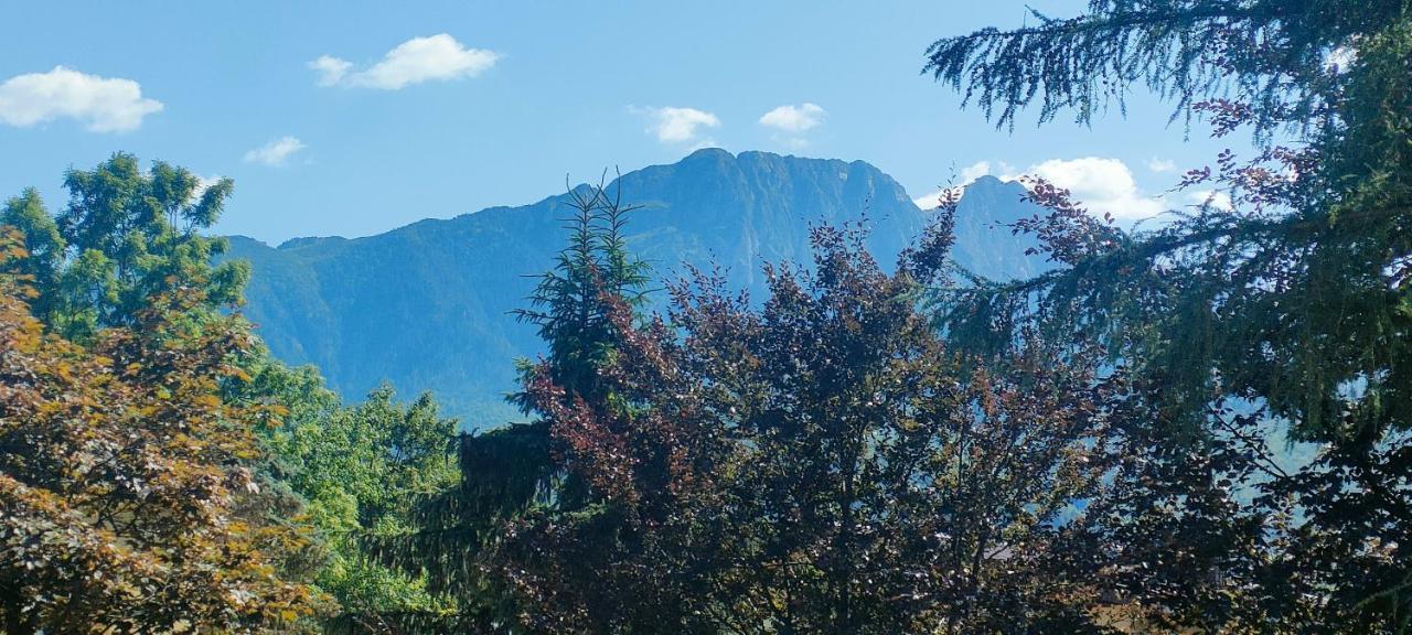 Apartmán Bunia W Zakopanem Z Jacuzzi Exteriér fotografie